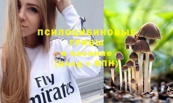 PSILOCYBIN Алзамай