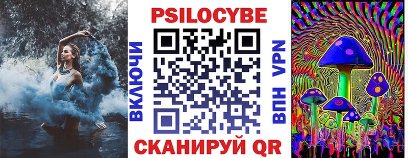 Галлюциногенные грибы Psilocybine cubensis  где можно купить   Амурск 